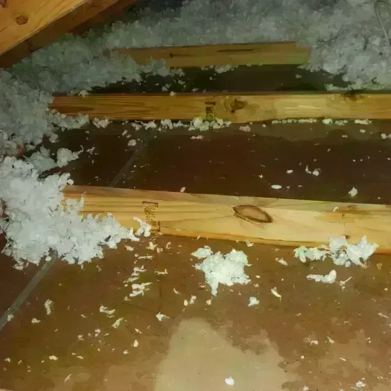 Attic Water Damage in Montpelier, OH